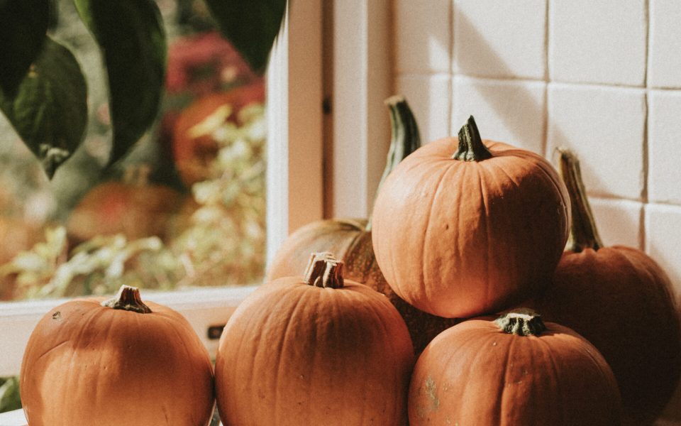 halloween-pumpkin-pile-close-up-background.jpg
